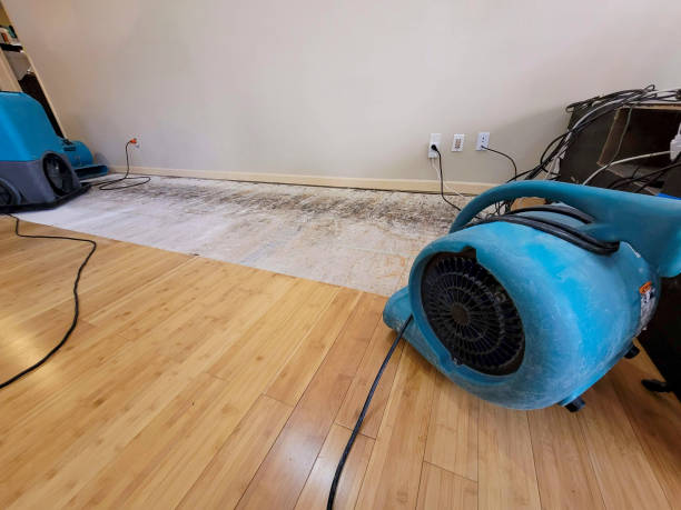 Professional Flood Damage Cleanup technician working in Allgood, AL